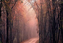 [NBA]7人得分上双 森林狼战胜热火.