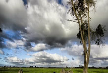 米兰体育官网:影视IP为中国冰雪热“添把火”.