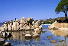 025南通马拉松开赛.